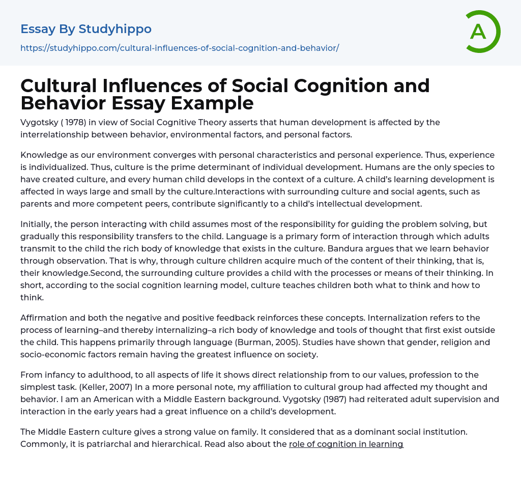 Cultural Influences of Social Cognition and Behavior Essay Example