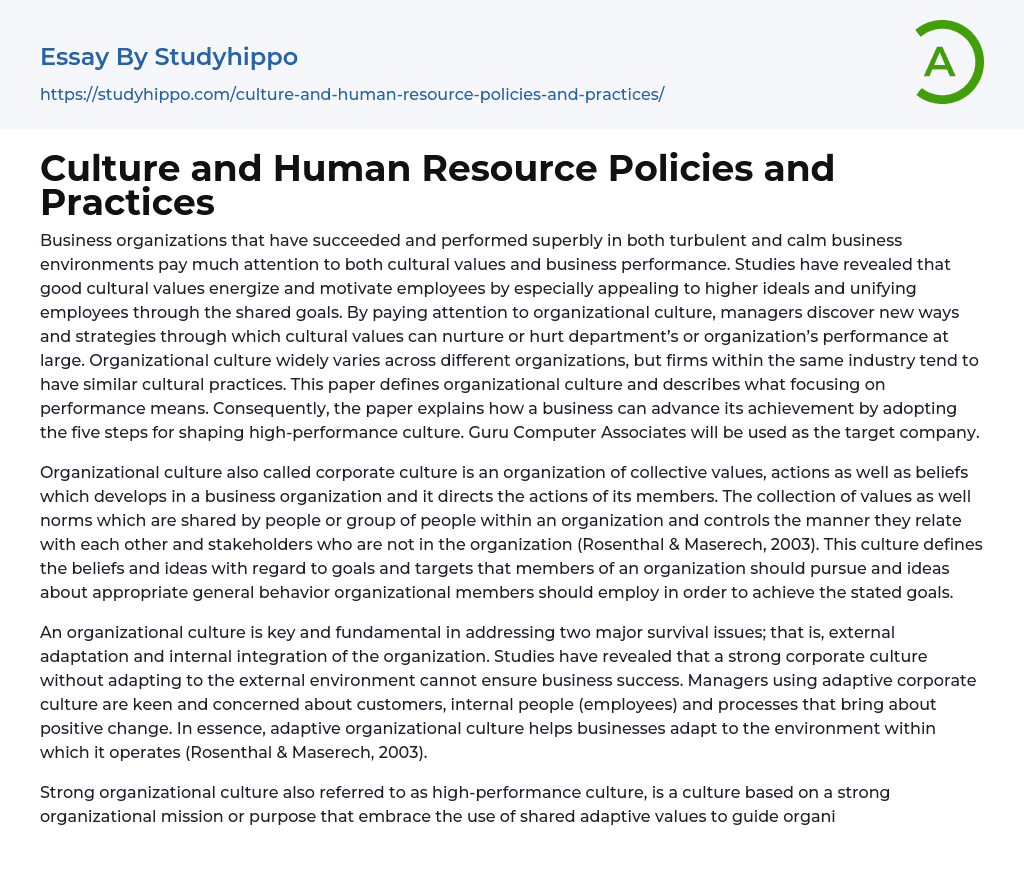 Culture and Human Resource Policies and Practices Essay Example