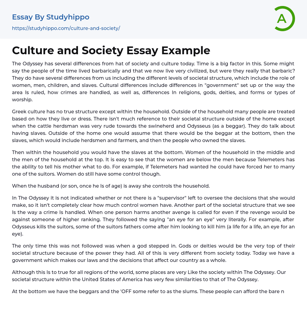 Culture and Society Essay Example