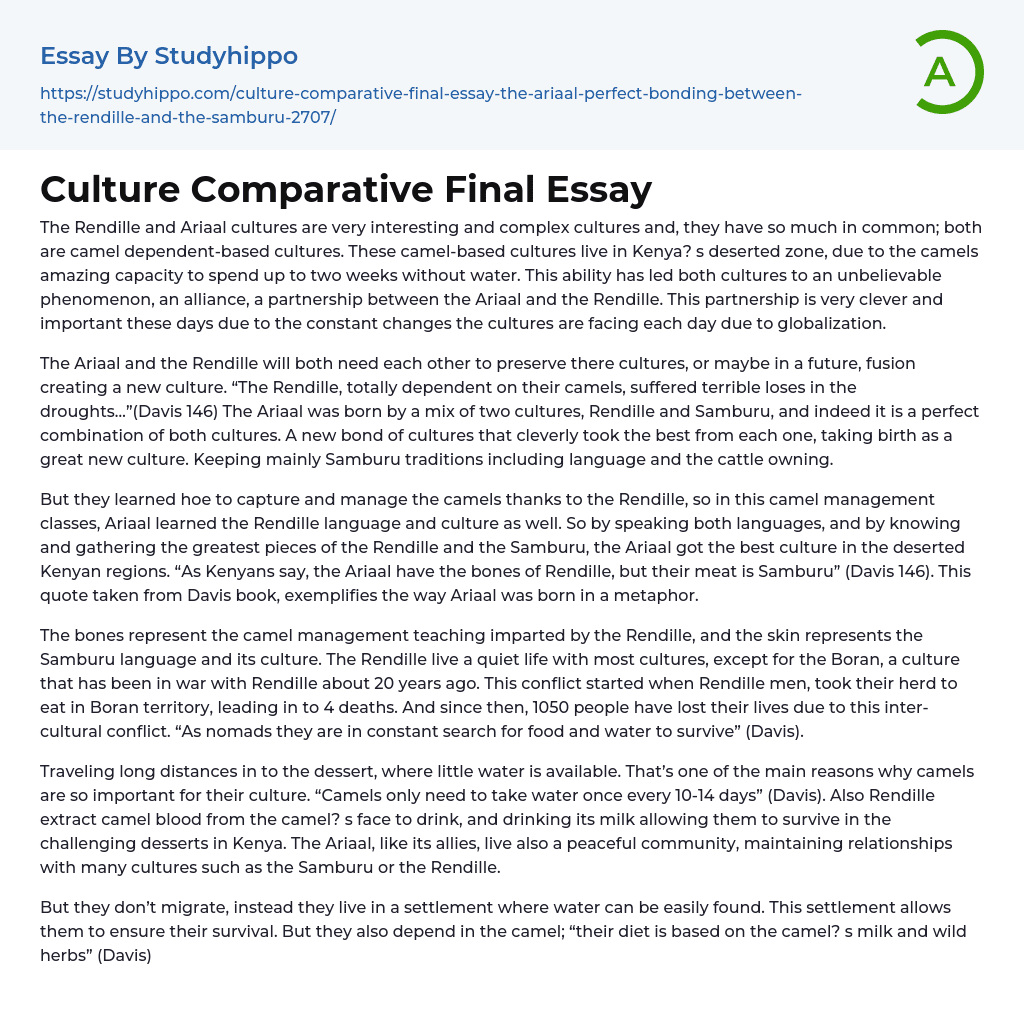 Culture Comparative Final Essay