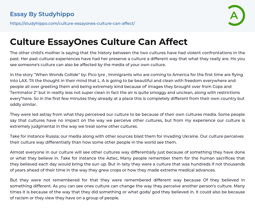 Culture EssayOnes Culture Can Affect