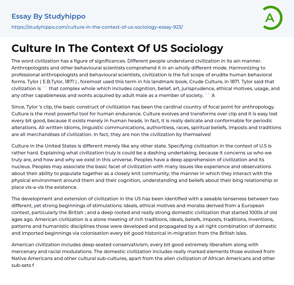 Culture In The Context Of US Sociology Essay Example