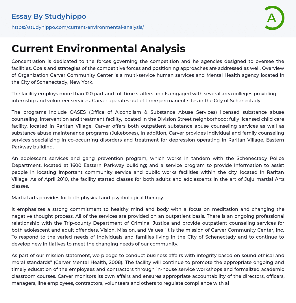 environmental essay example