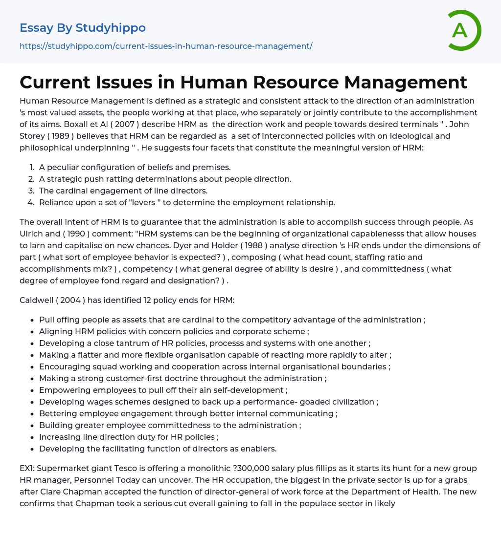 Current Issues in Human Resource Management Essay Example