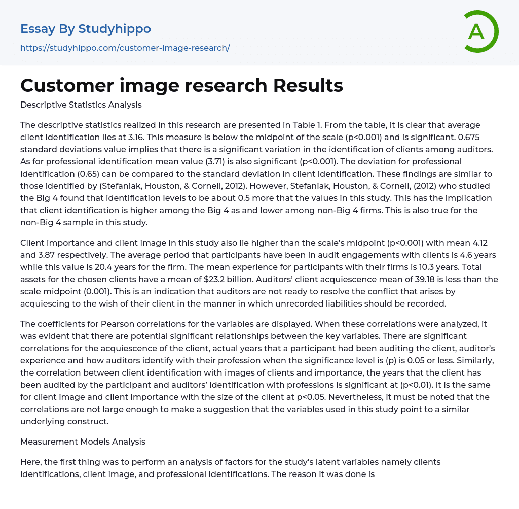 Customer image research Results Essay Example