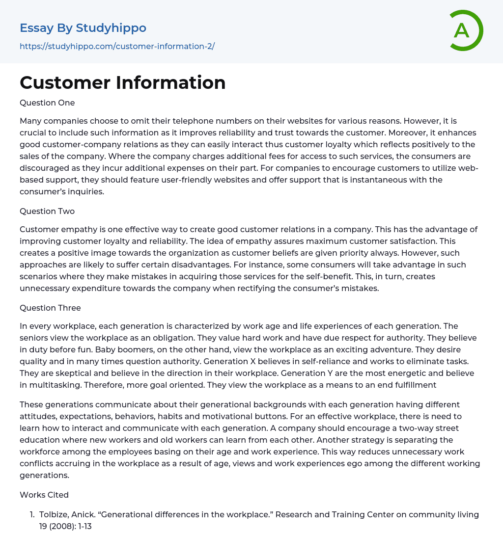 Customer Information Essay Example