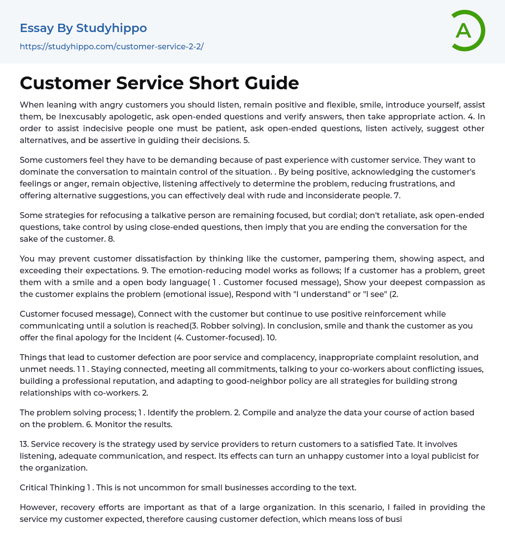 Customer Service Short Guide Essay Example