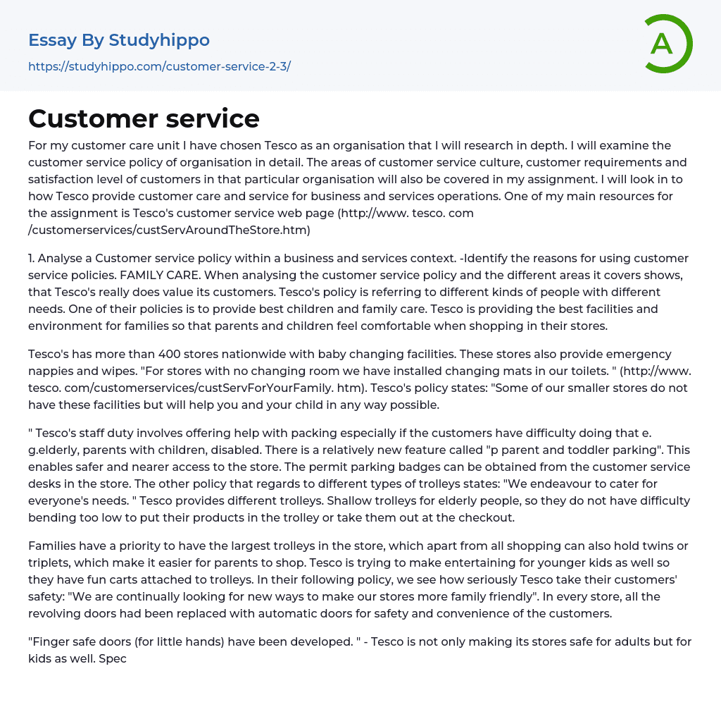 Customer service Essay Example