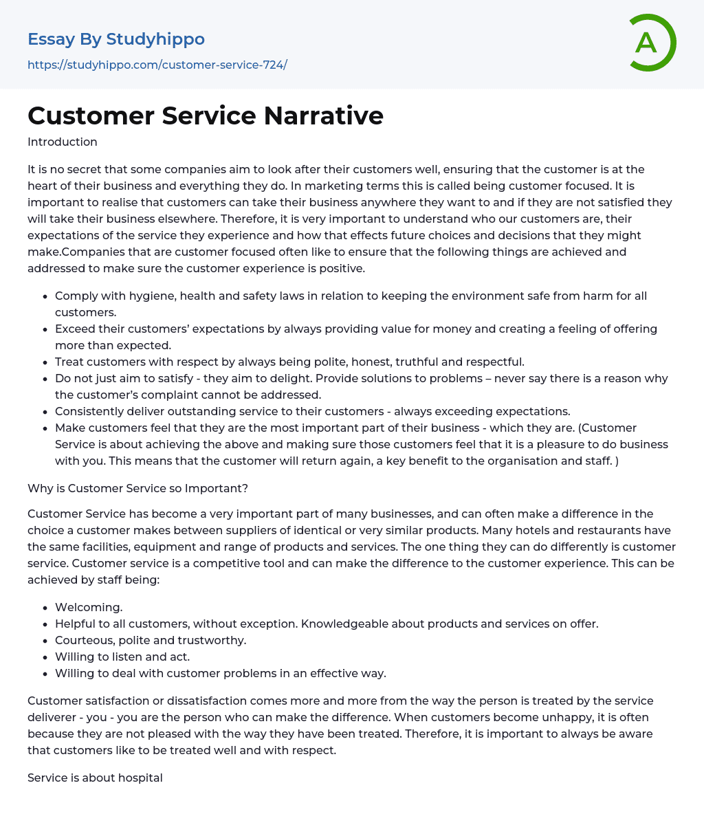 Customer Service Narrative Essay Example