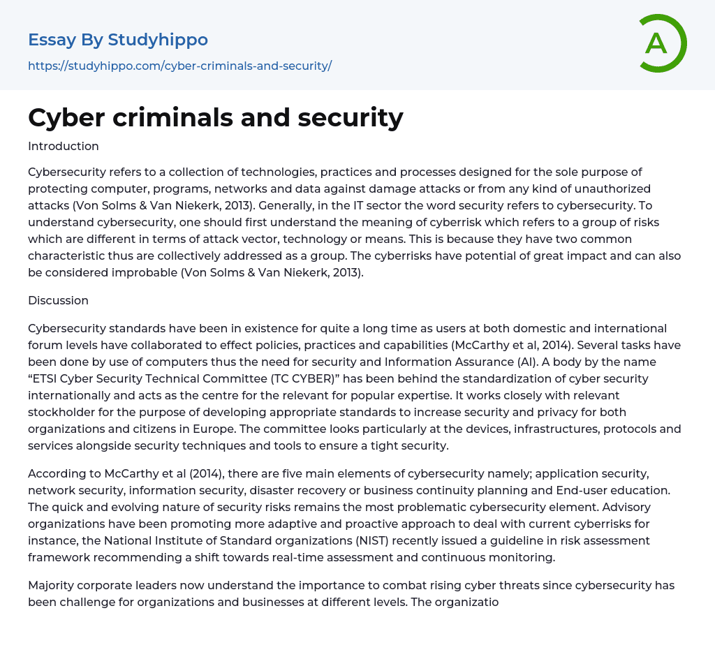 Cyber criminals and security Essay Example