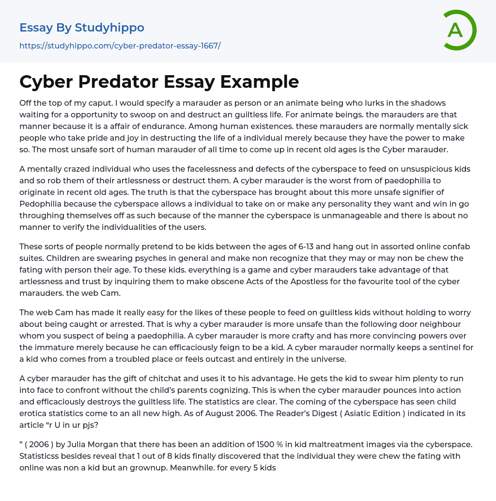 Cyber Predator Essay Example