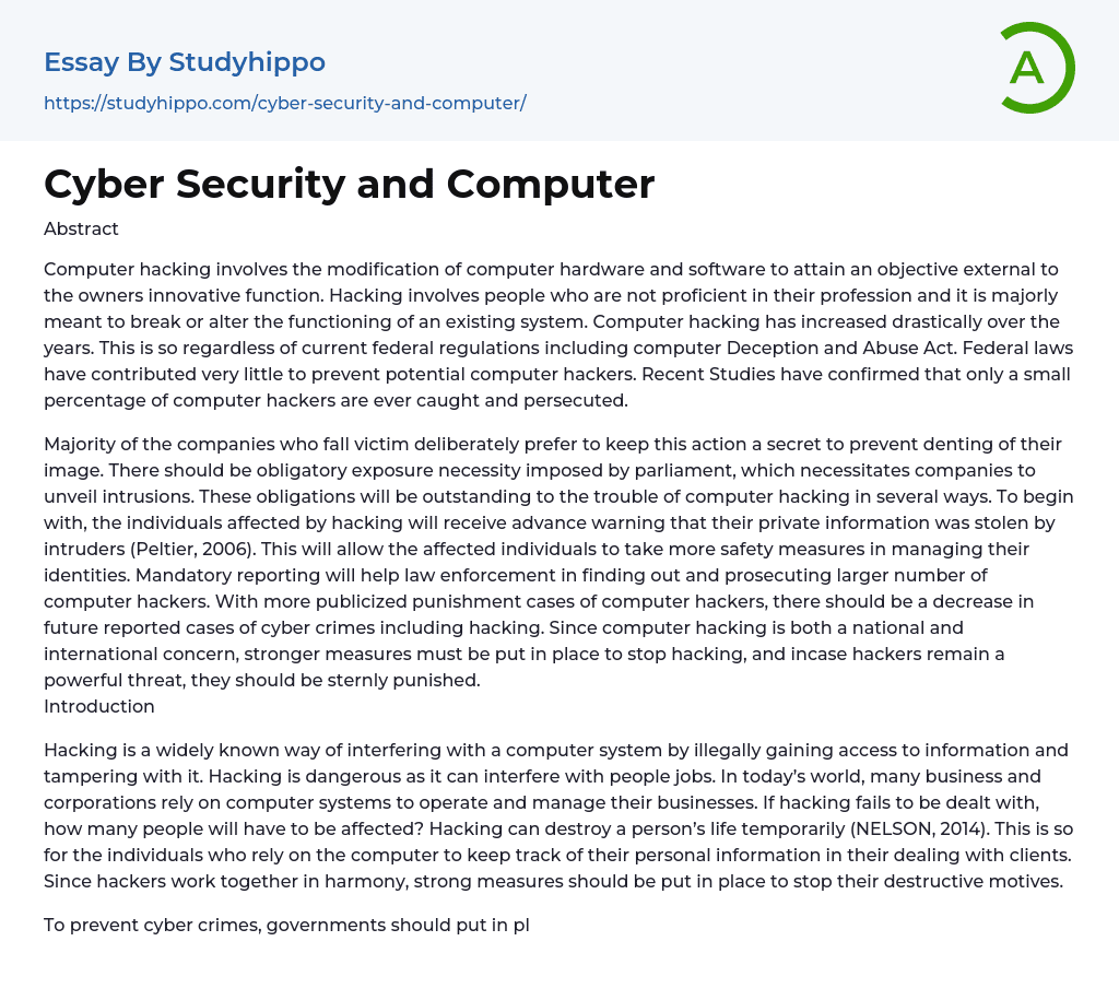 computer security system essay