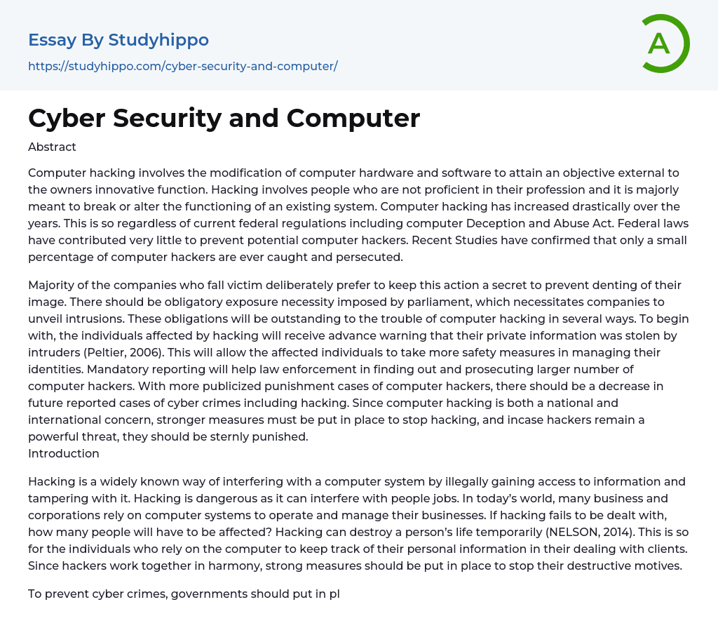 write an essay on computer security