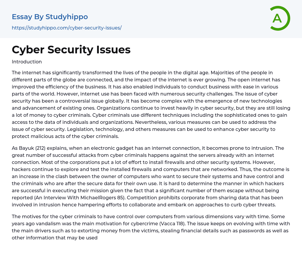 Cyber Security Issues Essay Example StudyHippo