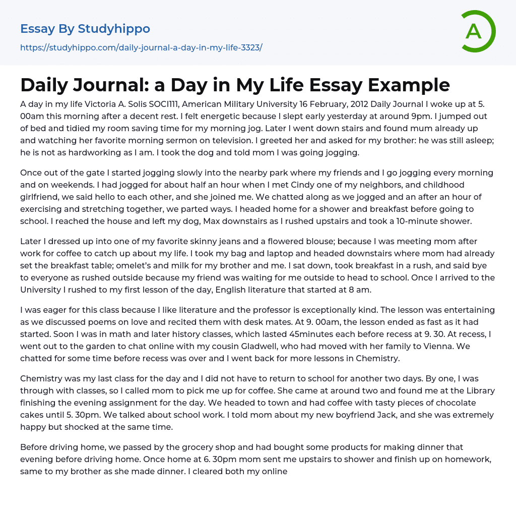 Daily Journal: a Day in My Life Essay Example