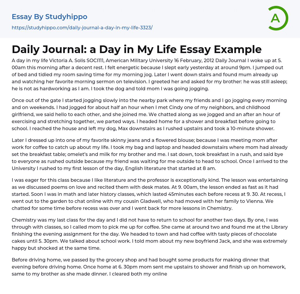 Daily Journal A Day In My Life Essay Example StudyHippo