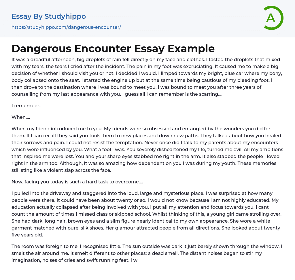 Dangerous Encounter Essay Example