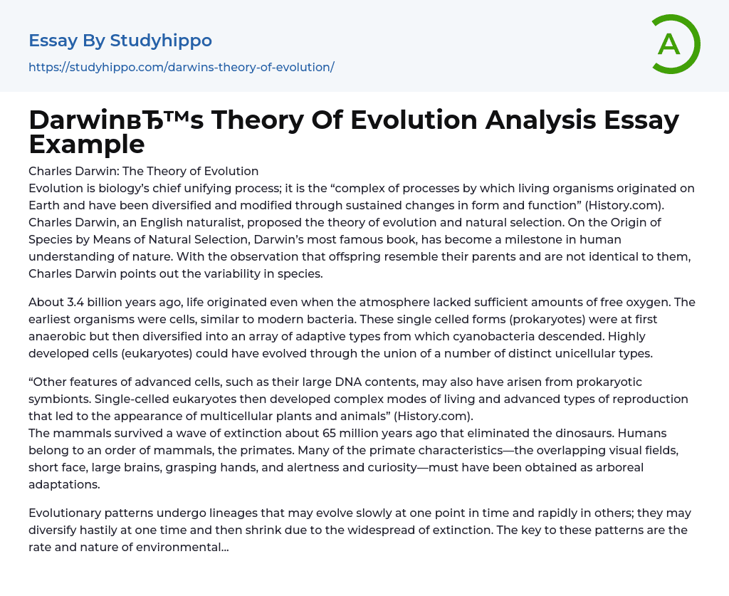 Darwin’s Theory Of Evolution Analysis Essay Example