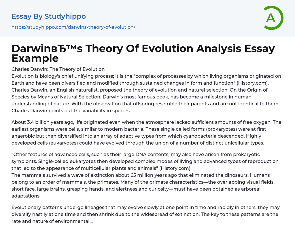 essay about darwin theory of evolution