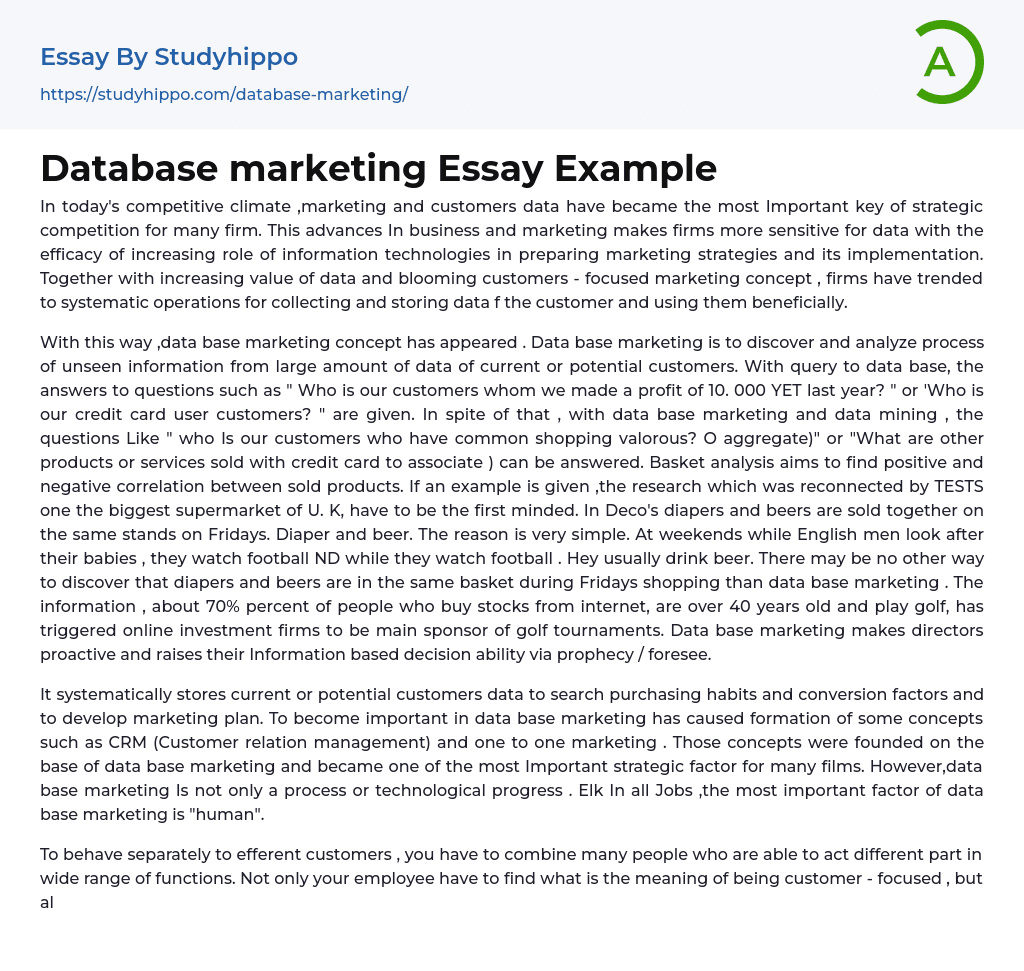 Database marketing Essay Example