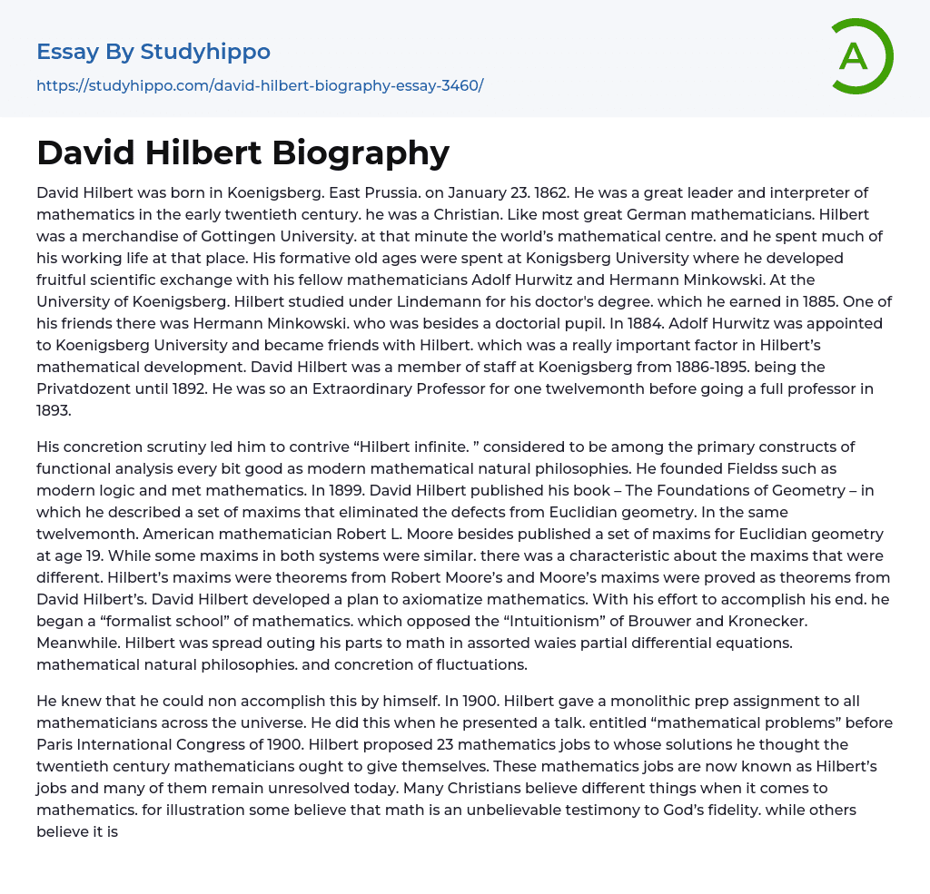 David Hilbert Biography Essay Example