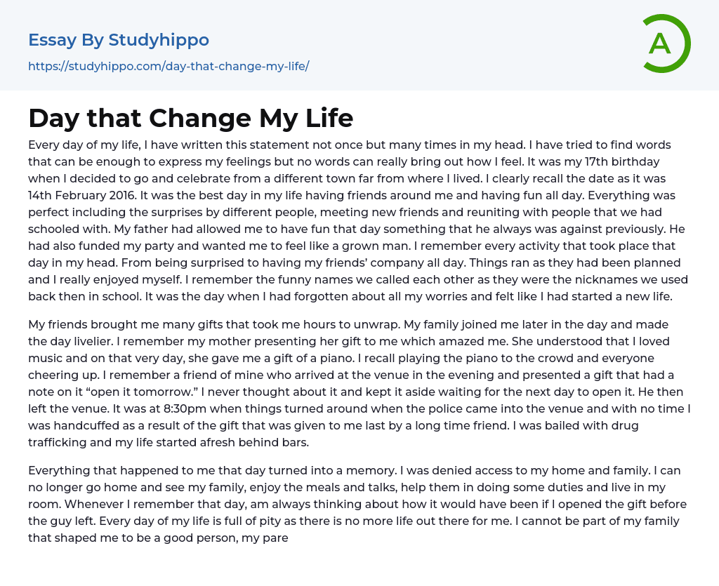 Day that Change My Life Essay Example
