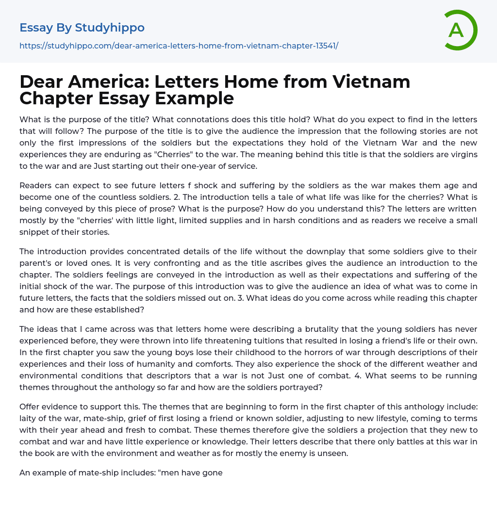 Dear America Letters Home From Vietnam Chapter Essay Example StudyHippo