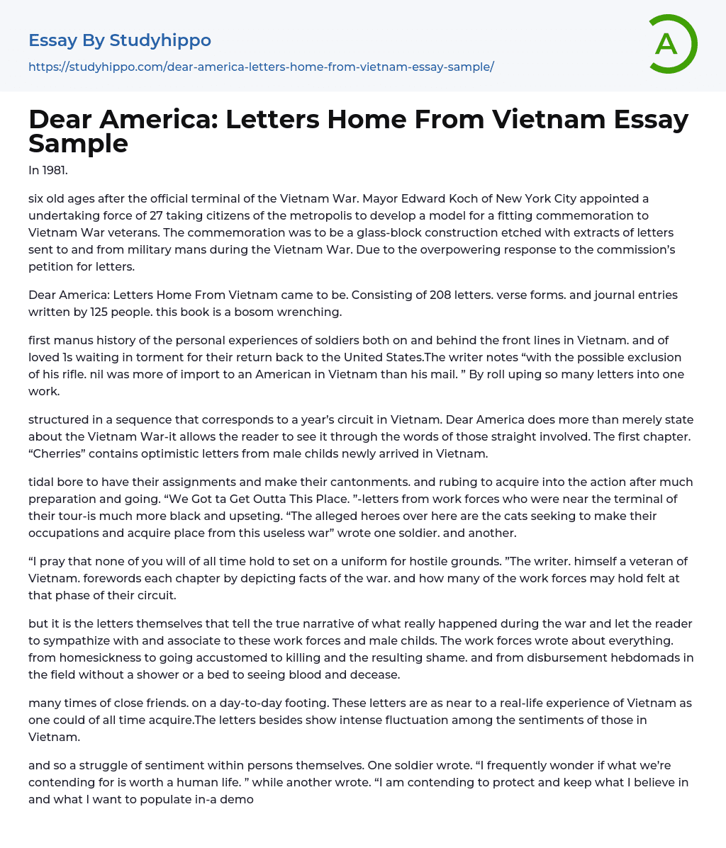 Dear America: Letters Home From Vietnam Essay Sample