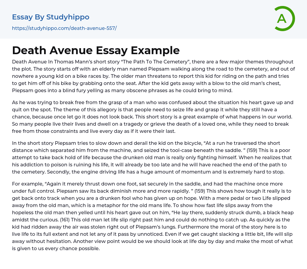Death Avenue Essay Example