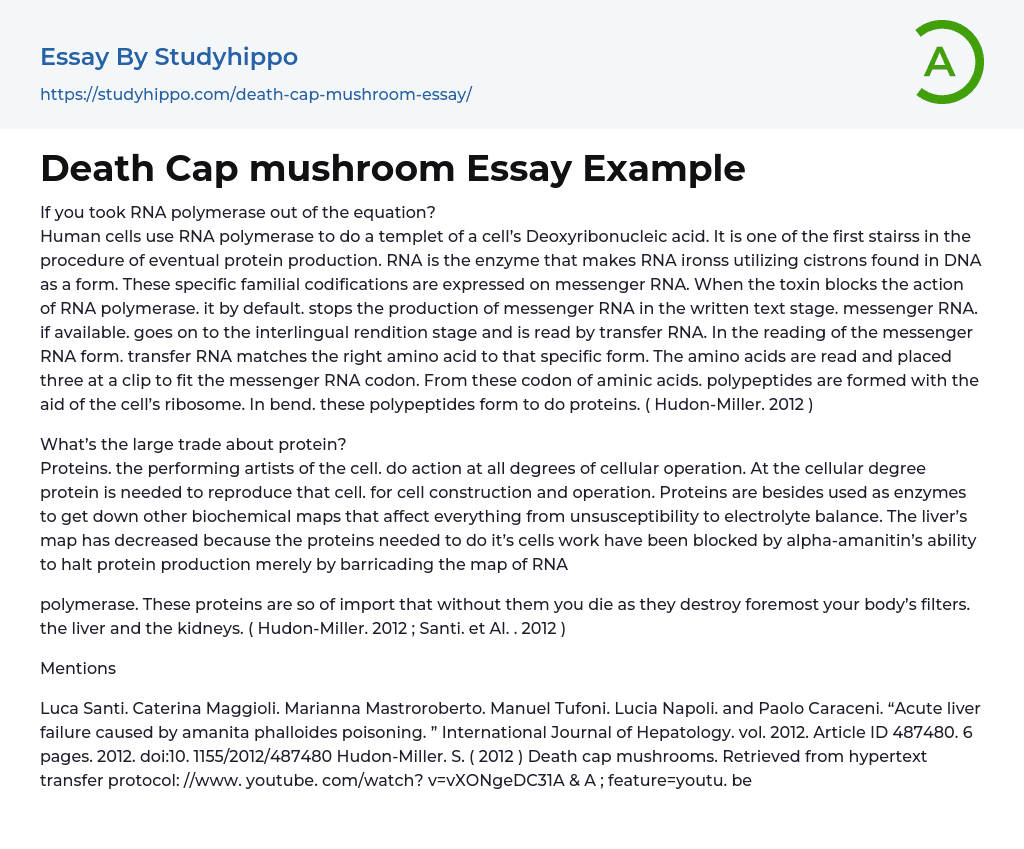 Death Cap mushroom Essay Example