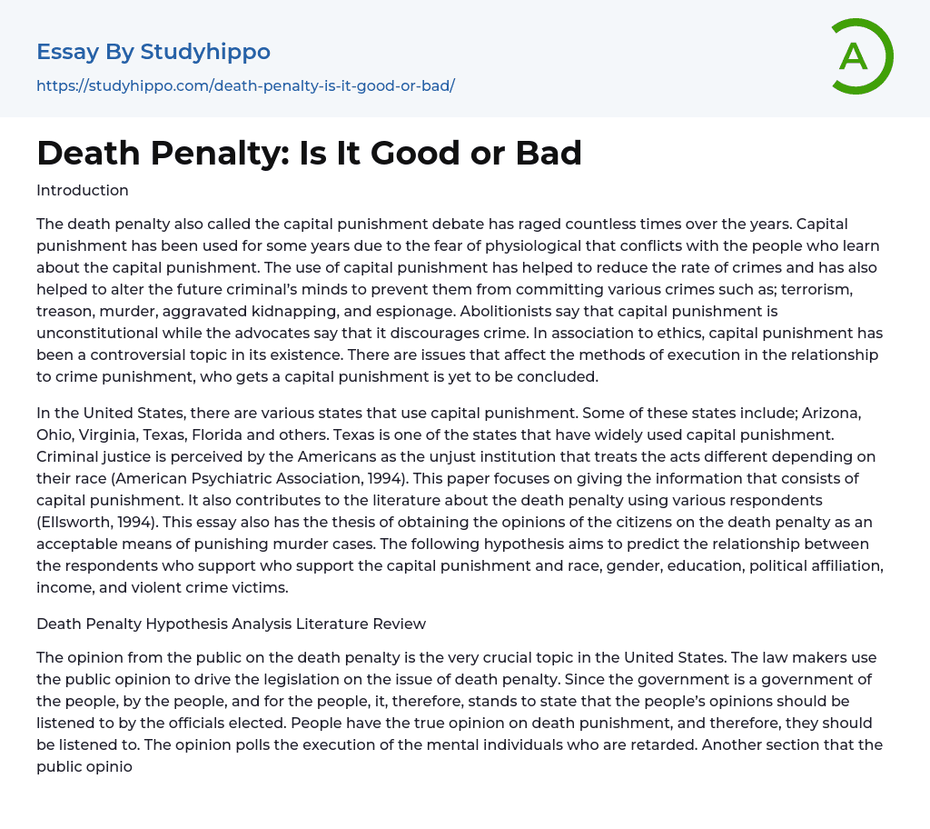 Death Penalty: Is It Good or Bad Essay Example