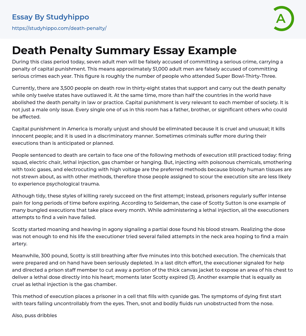 Death Penalty Summary Essay Example