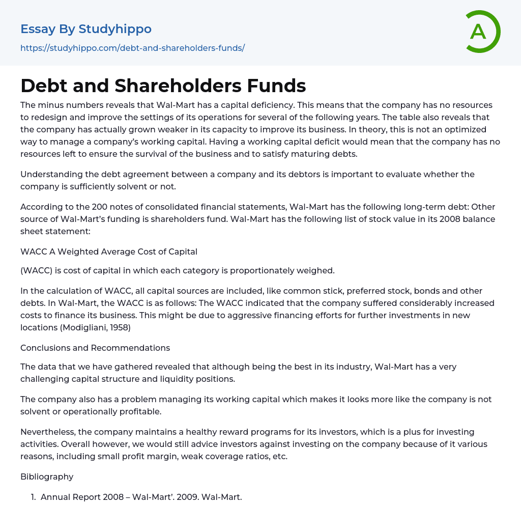 Debt and Shareholders Funds Essay Example