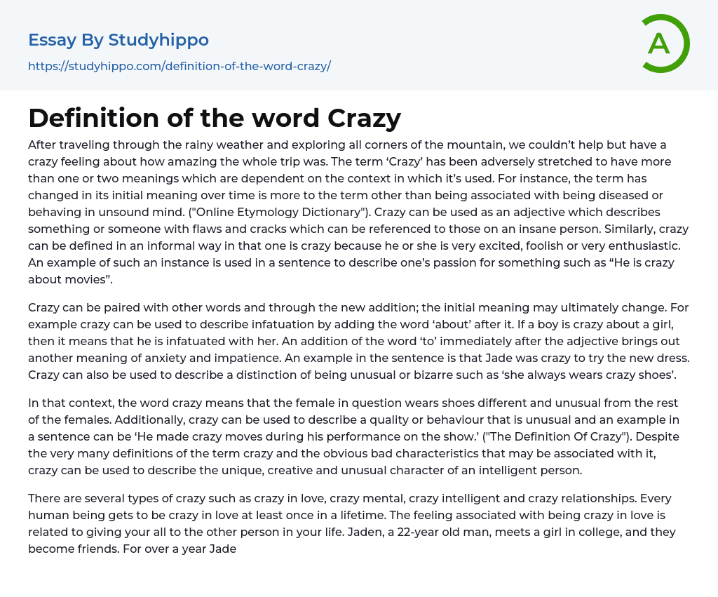 Definition of the word Crazy Essay Example
