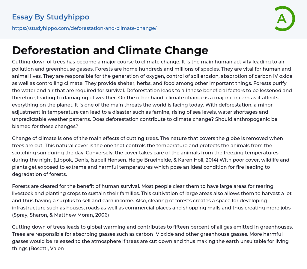 Deforestation and Climate Change Essay Example