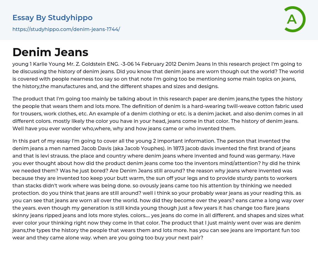 Denim Jeans Essay Example