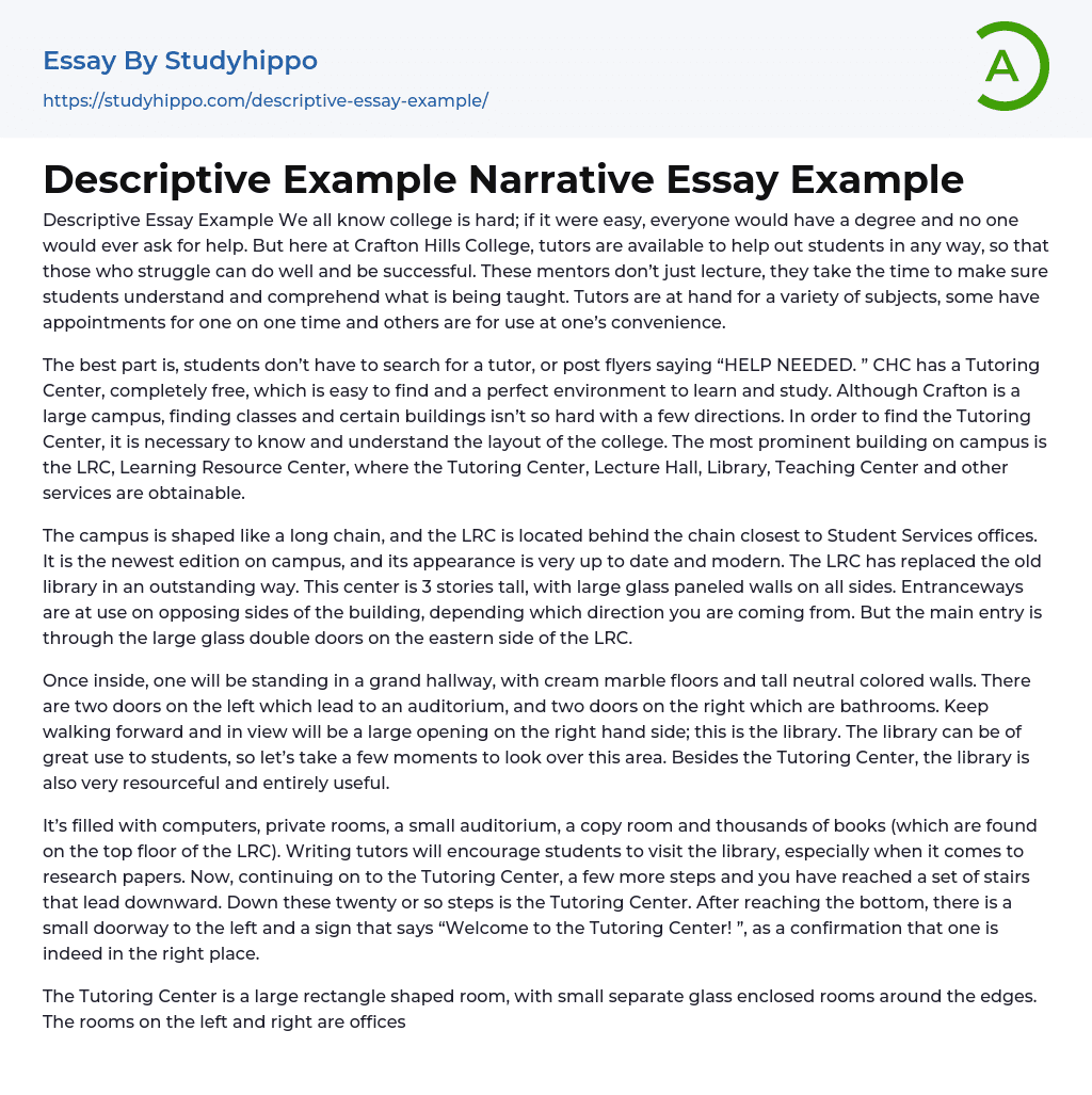 Descriptive Example Narrative Essay Example