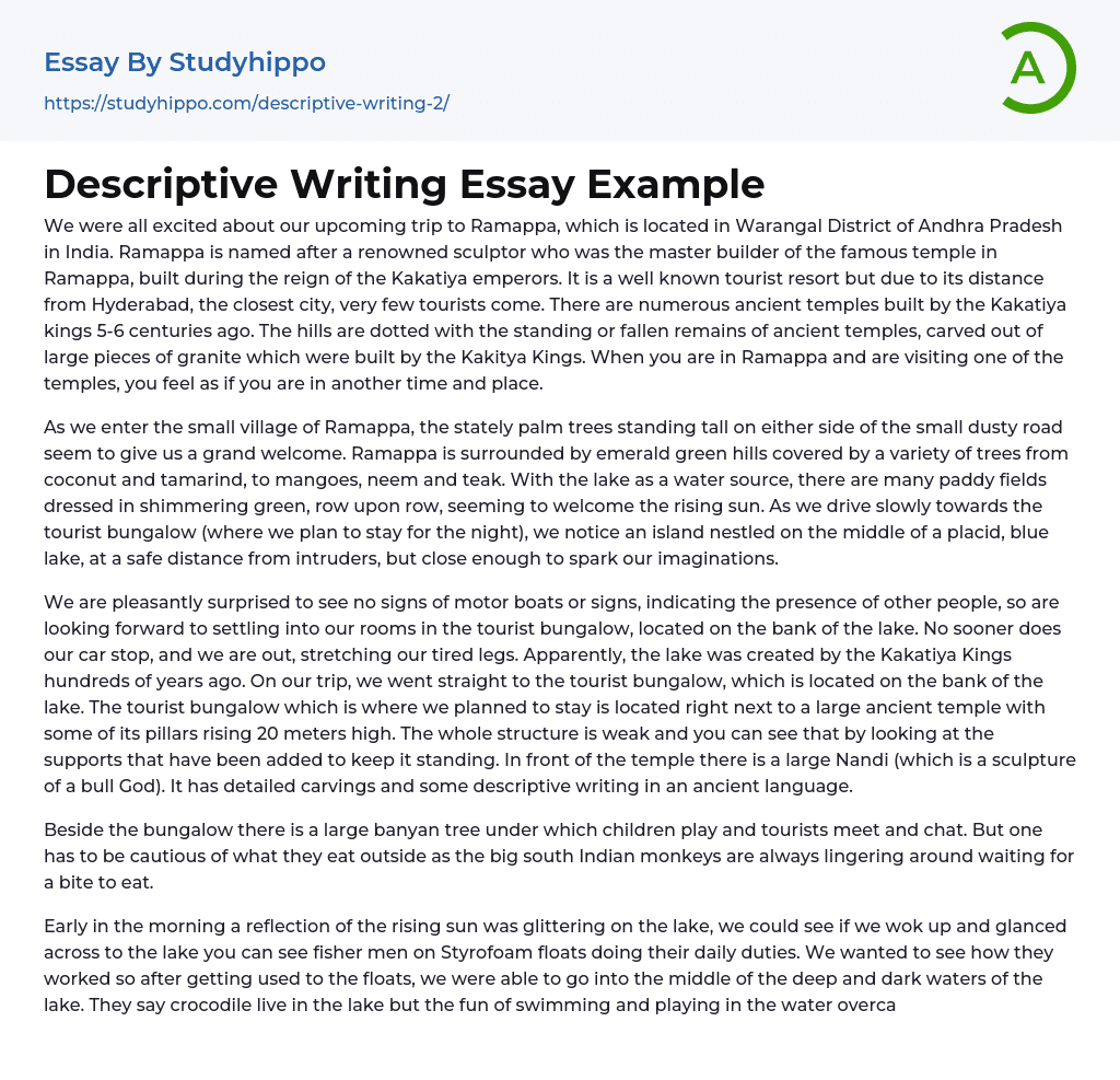 Descriptive Writing Essay Example