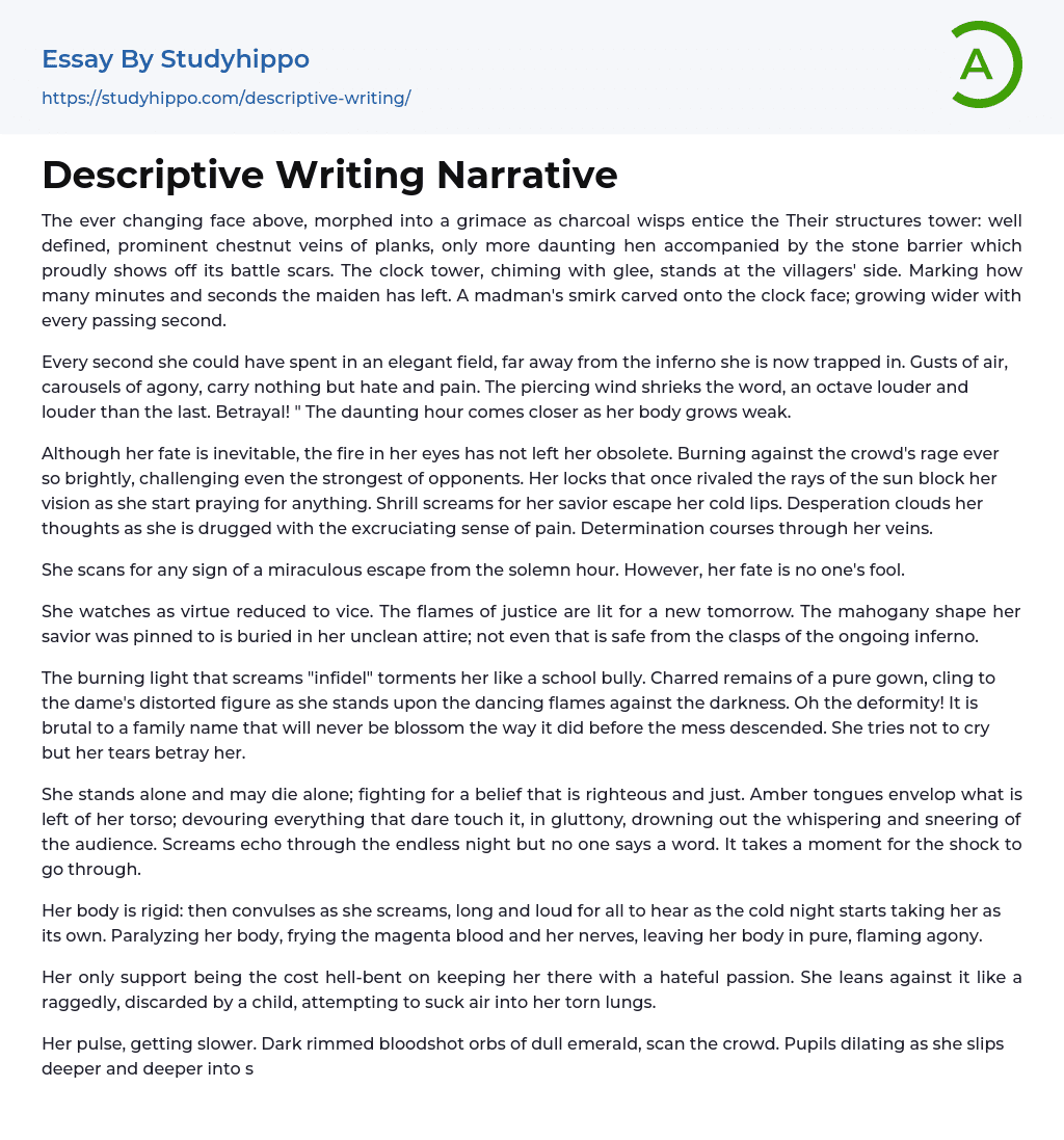 Descriptive Writing Narrative Essay Example
