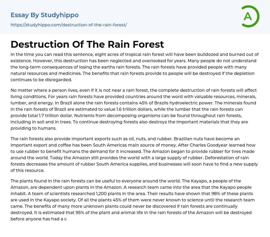 Destruction Of The Rain Forest Essay Example