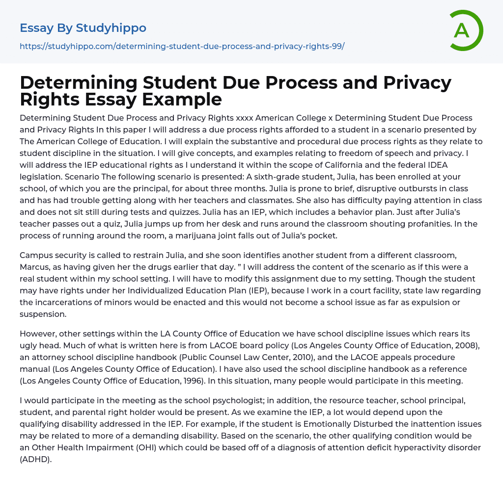 Determining Student Due Process and Privacy Rights Essay Example