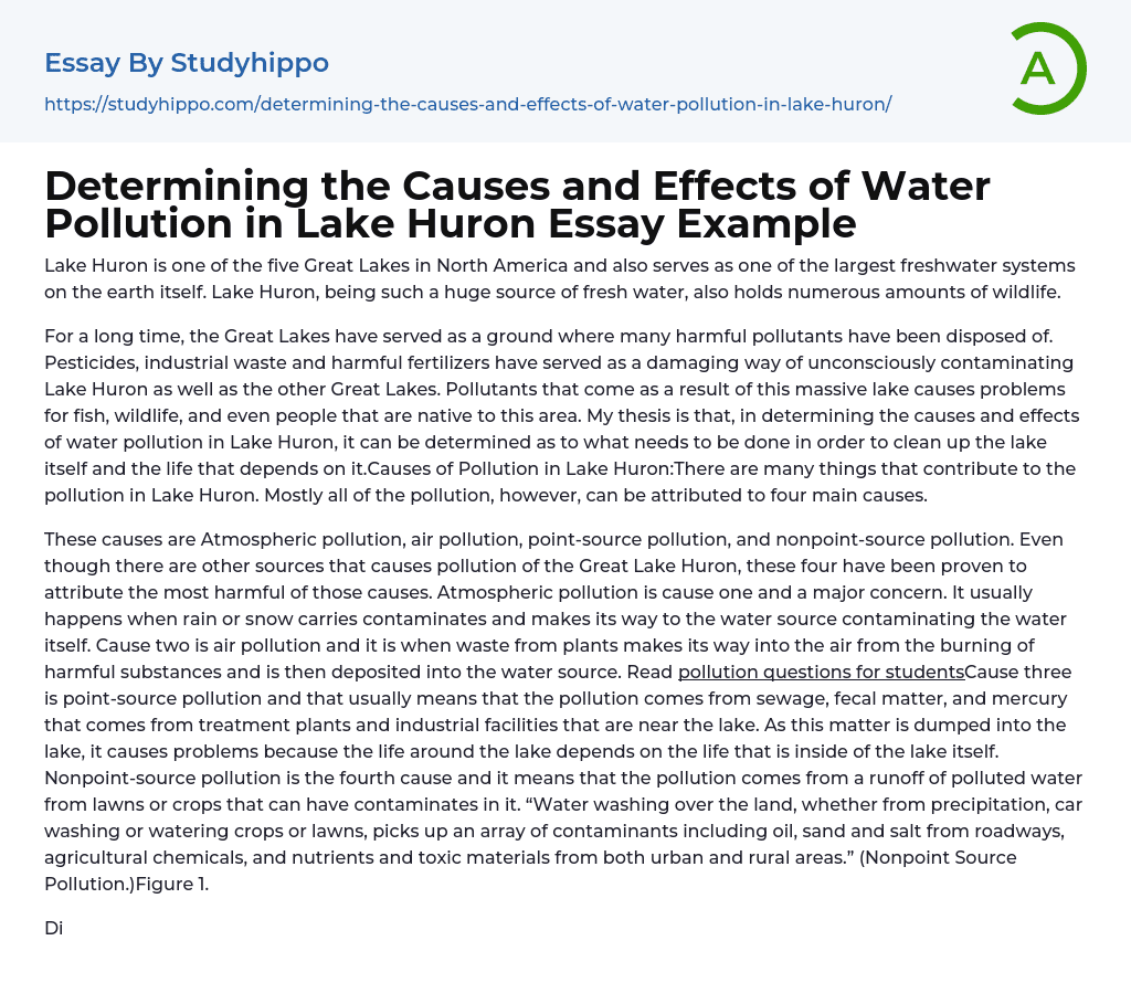 Determining the Causes and Effects of Water Pollution in Lake Huron Essay Example