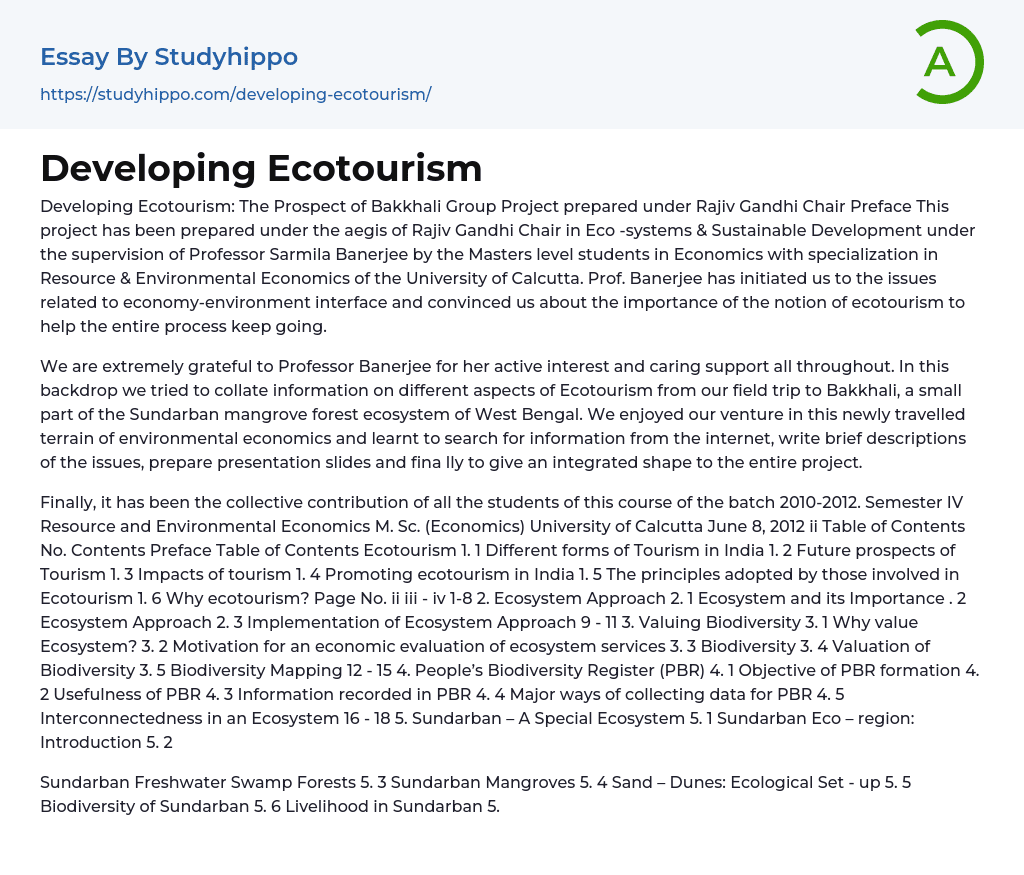 Developing Ecotourism Essay Example