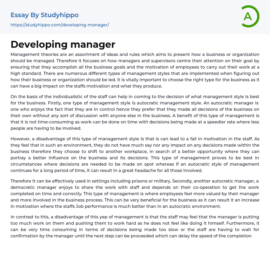 Developing manager Essay Example
