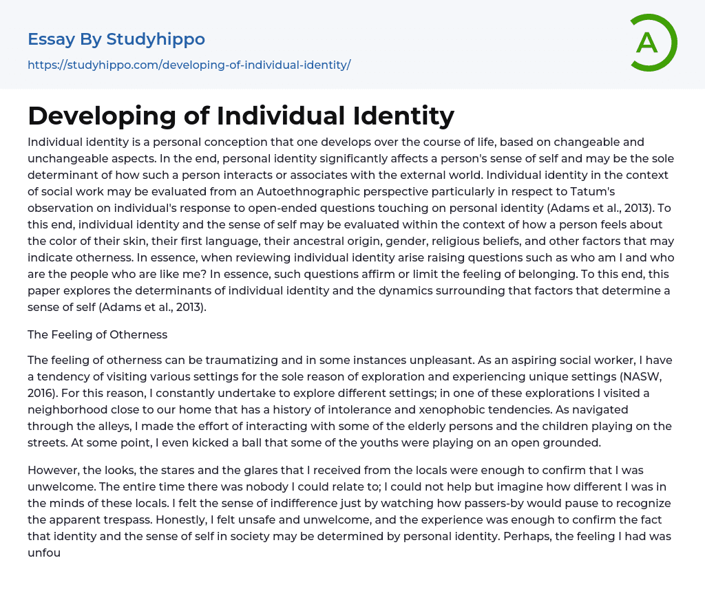 Developing of Individual Identity Essay Example