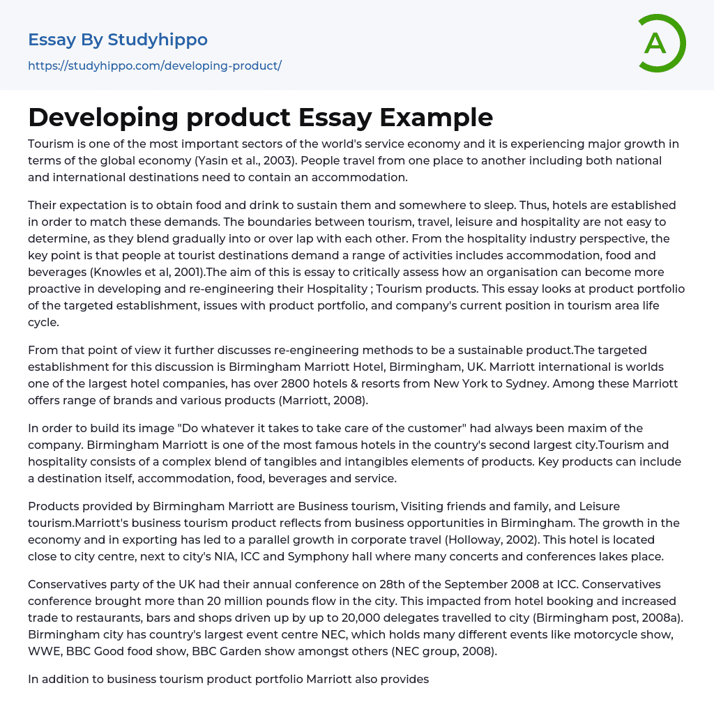 Developing product Essay Example