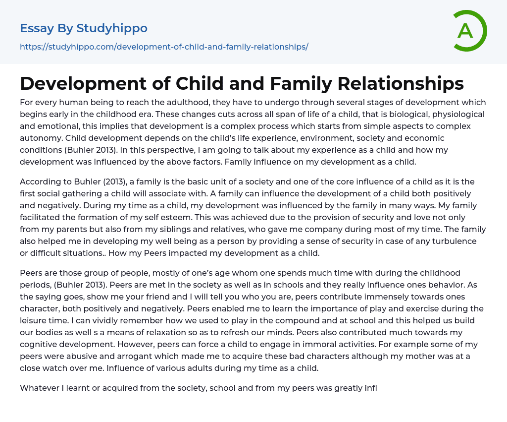 Development of Child and Family Relationships Essay Example