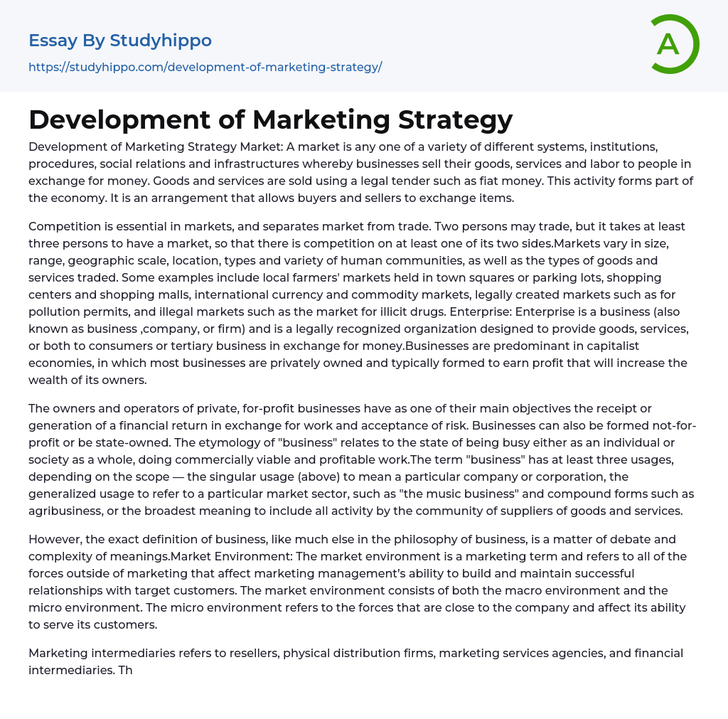Development of Marketing Strategy Essay Example