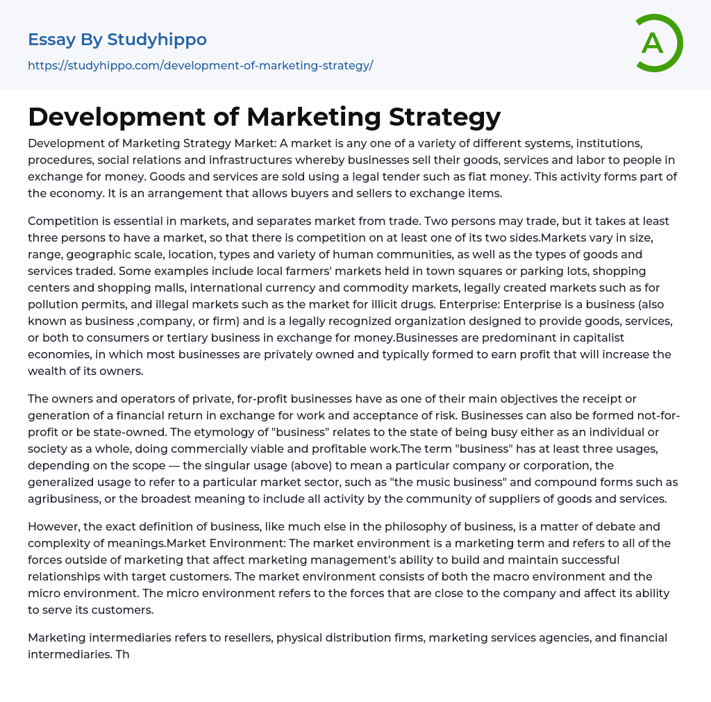 Development Of Marketing Strategy Essay Example StudyHippo