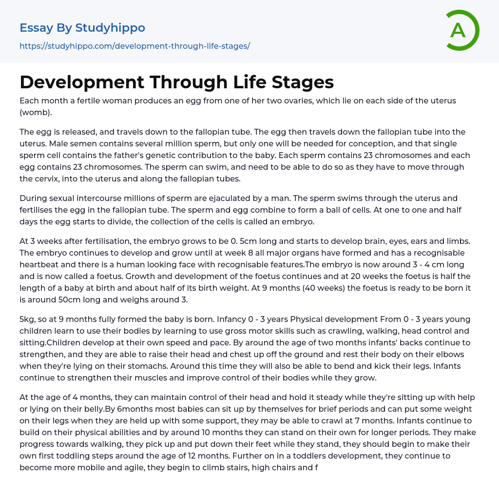 Development Through Life Stages Essay Example